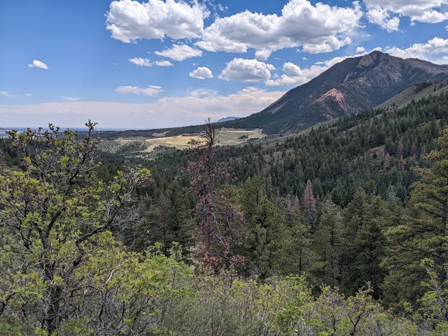 Pursuing Failed Goals