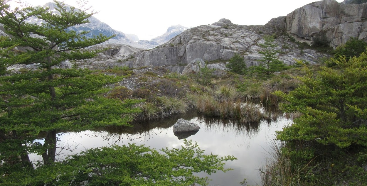 Gone is forever: deleting files in R