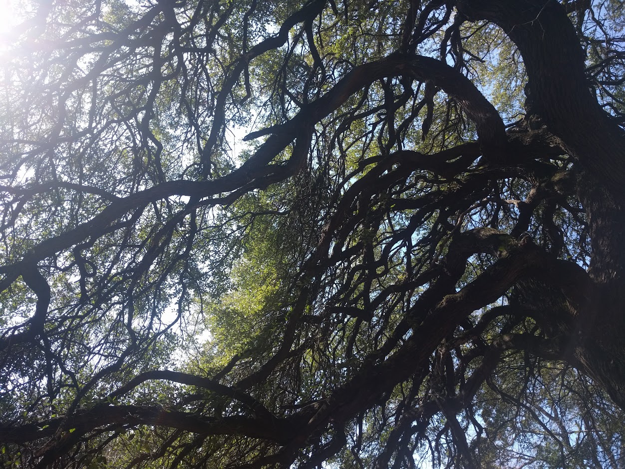 What About Your Future Self