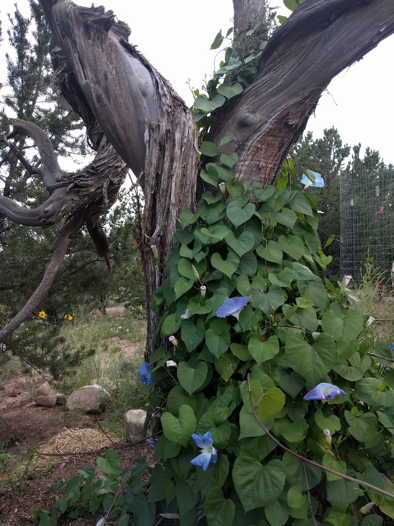 Finding use of the 48 Laws of Power