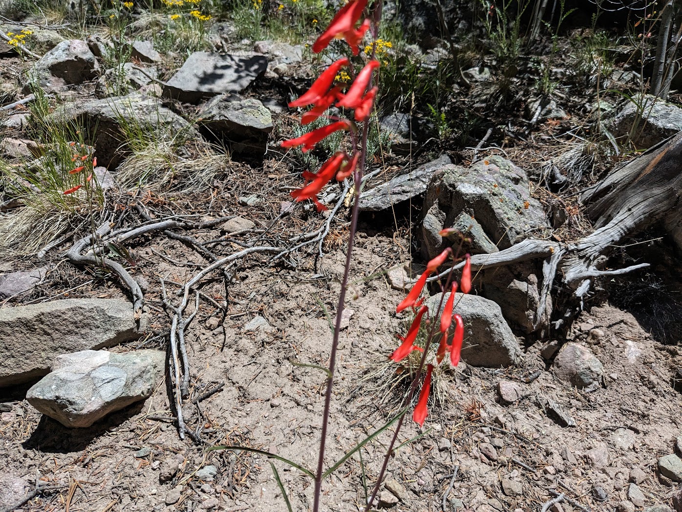 Telling a real story