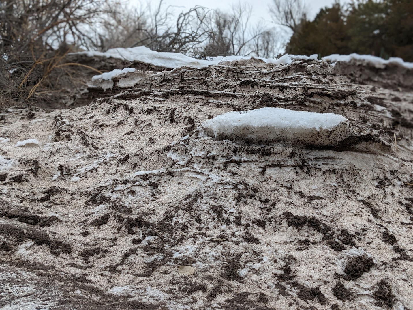 The Squeakiest Wheel