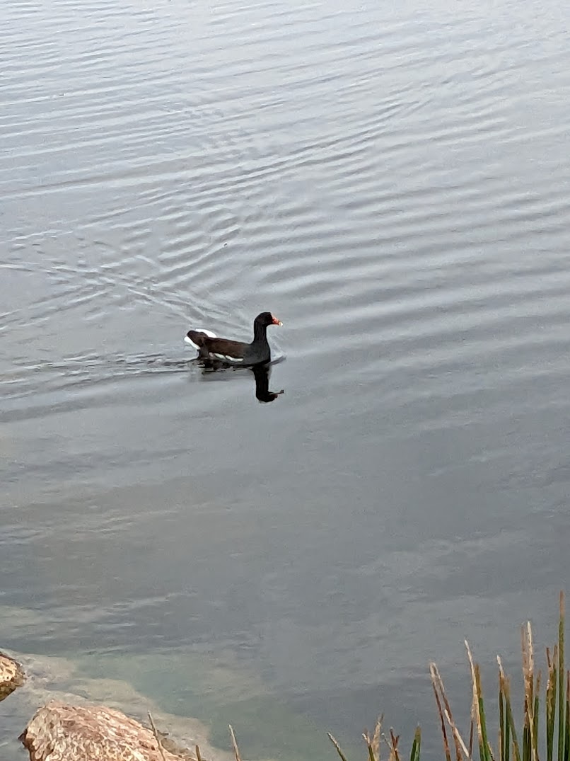 Why the World is Changing so Fast