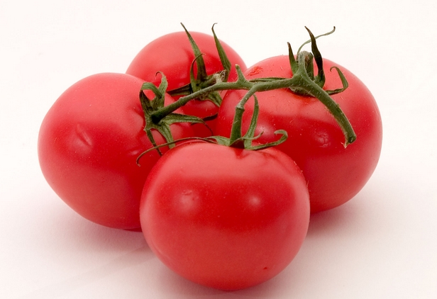 The Tomato is the Plan